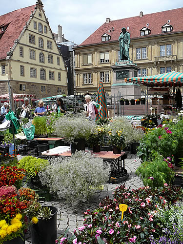 Blumenmarkt auf dem Schillerplatz