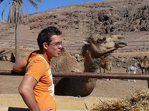Im Oasis Park in La Lajita leben über 450 Kamele
